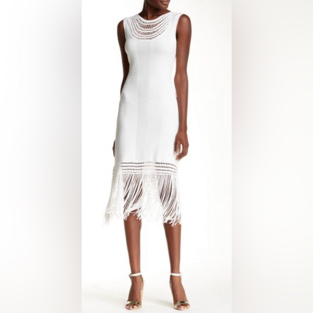 Yoana Baraschi knit dress with fringe